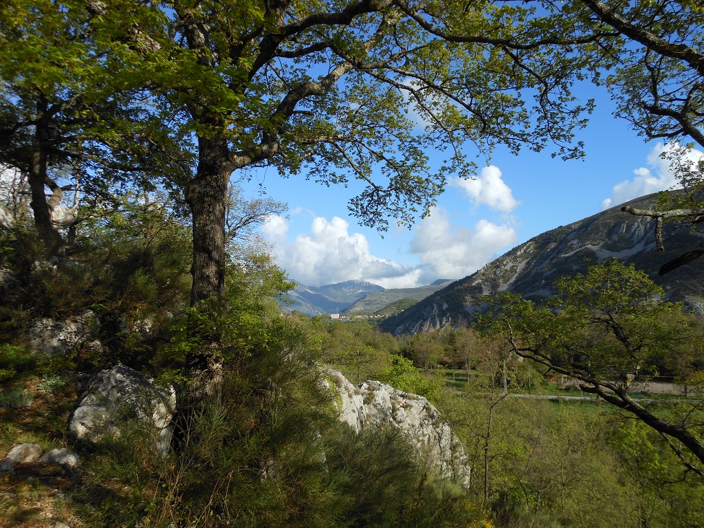 La vue de la terrasse du Gite du Cheiron a Greolieres